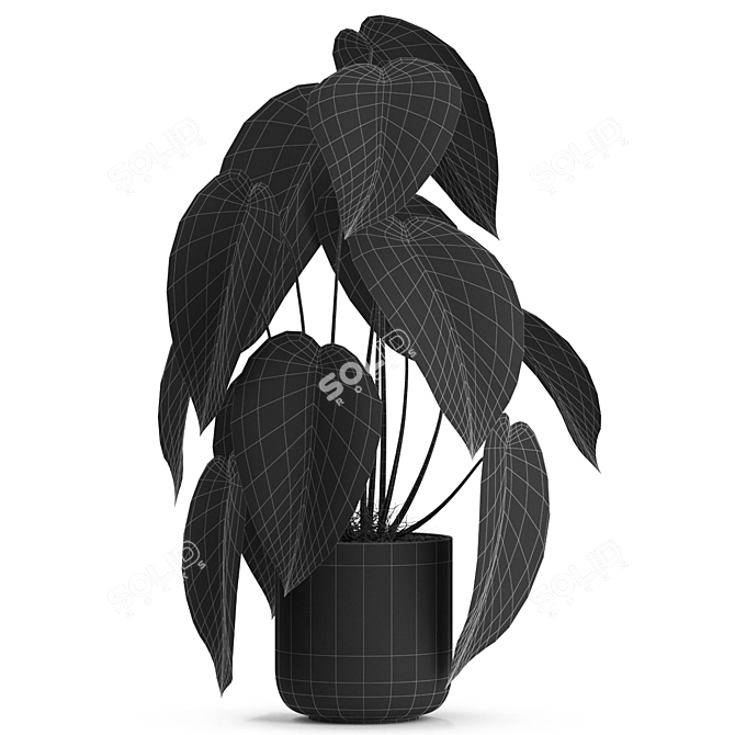 538 Plants Collection: Vast & Vibrant! 3D model image 3