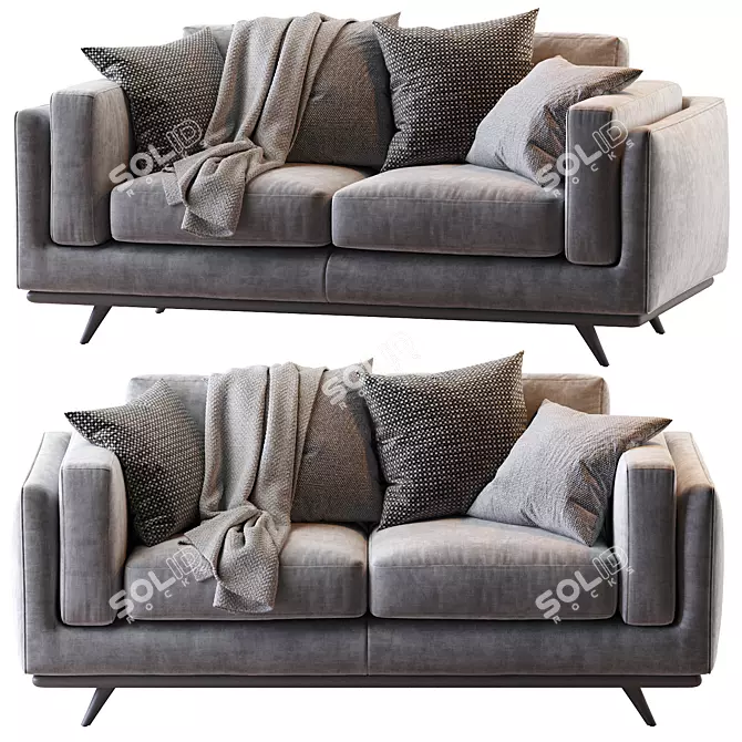 Zander Sofa: Stylish & Comfortable Couch 3D model image 1