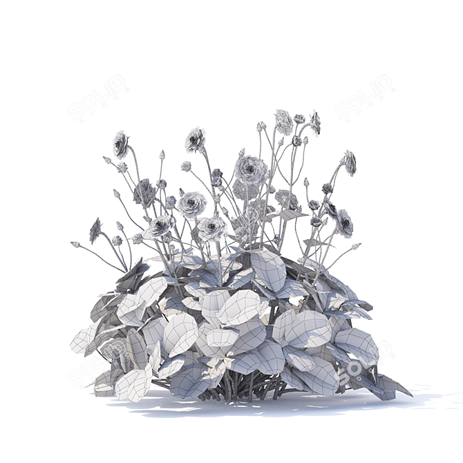 Chilean Mai Tai Flowers | Geum chiloense Collection 3D model image 4