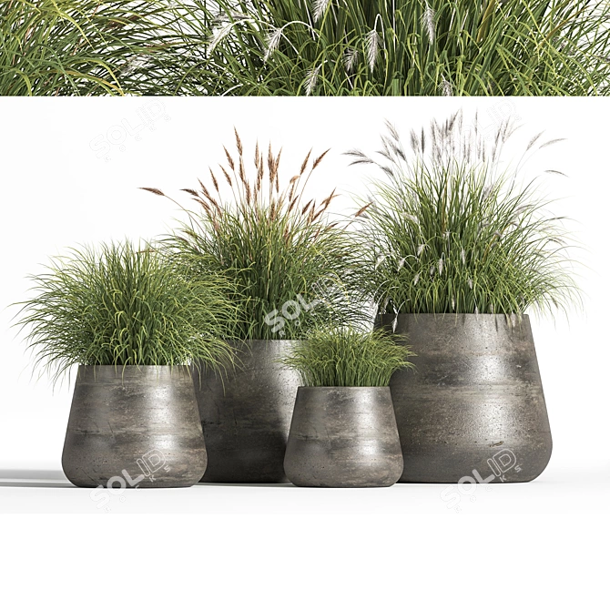 Lush Indoor Plant Set 3D model image 1