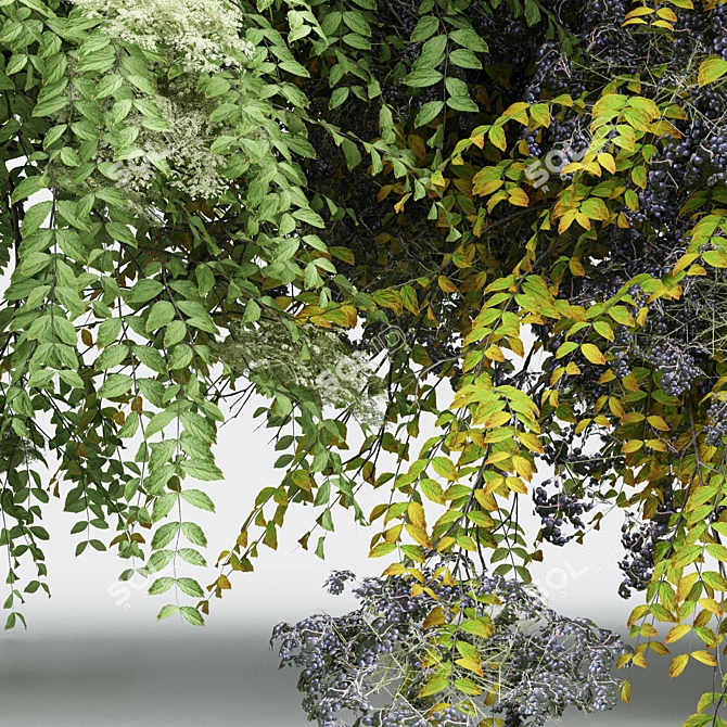 Japanese Angelica: Exquisite Bush Collection 3D model image 2