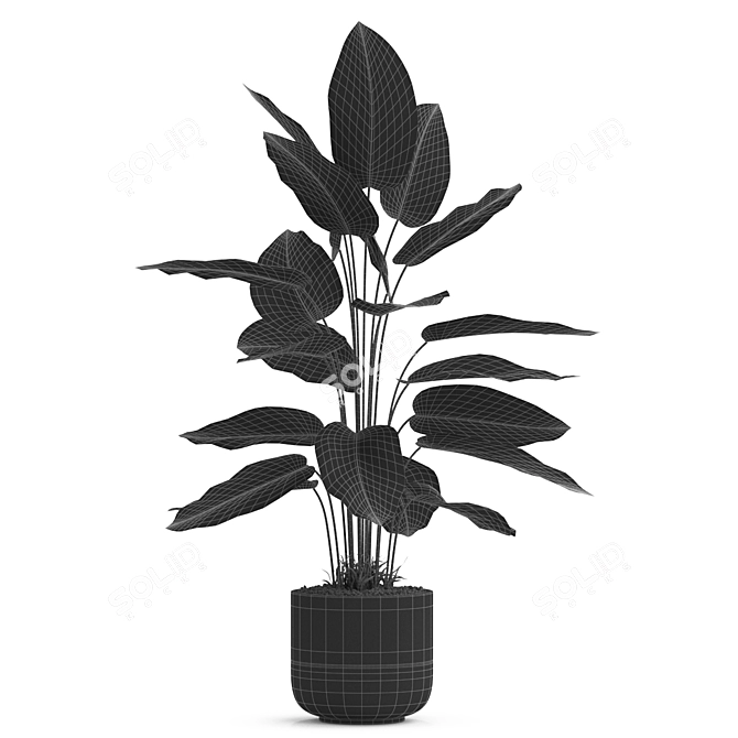 Exquisite Plants Collection 537 3D model image 4