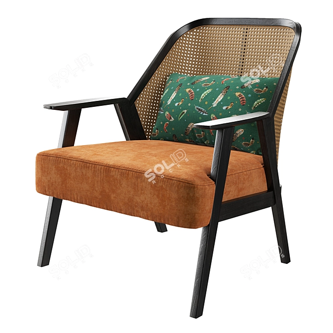 Exotic Sophistication: Roche Bobois Weg Armchair 3D model image 1