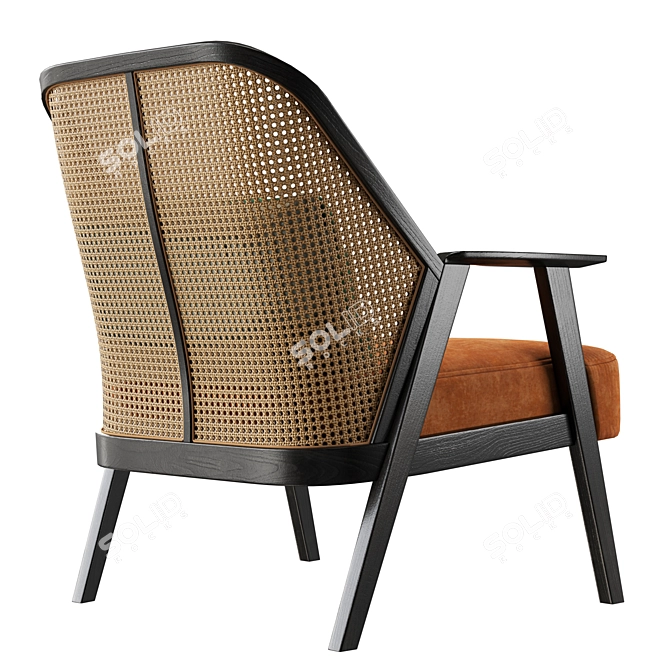 Exotic Sophistication: Roche Bobois Weg Armchair 3D model image 3
