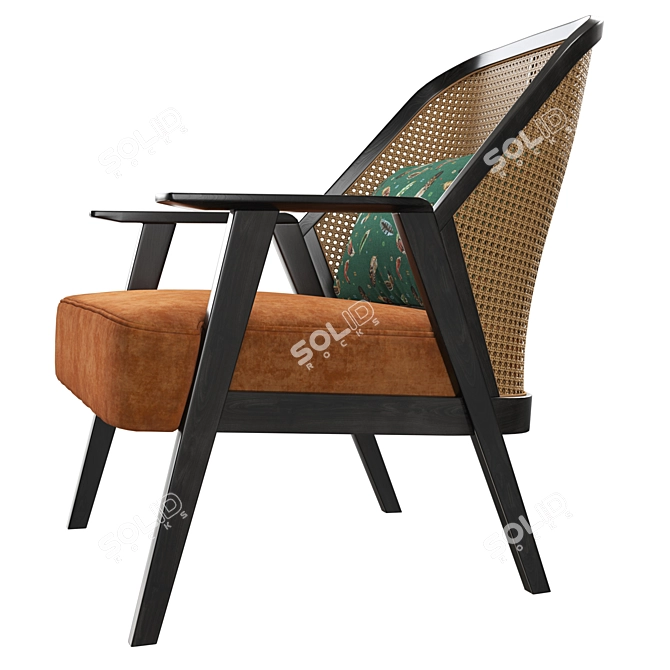 Exotic Sophistication: Roche Bobois Weg Armchair 3D model image 4