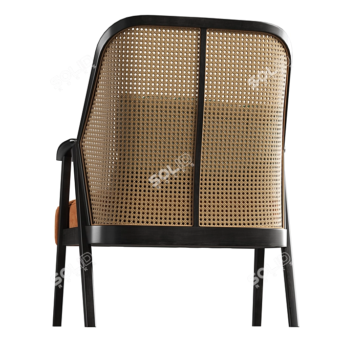 Exotic Sophistication: Roche Bobois Weg Armchair 3D model image 6