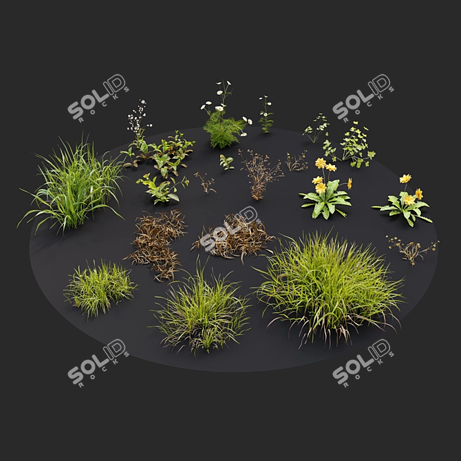 Lush Meadow Scatter Set 3D model image 3