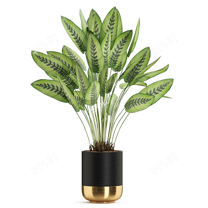 Botanical Bliss: 538 Remarkable Plants 3D model image 2