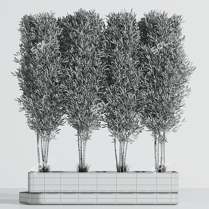 Indoor Plant Collection 2015 3D model image 10