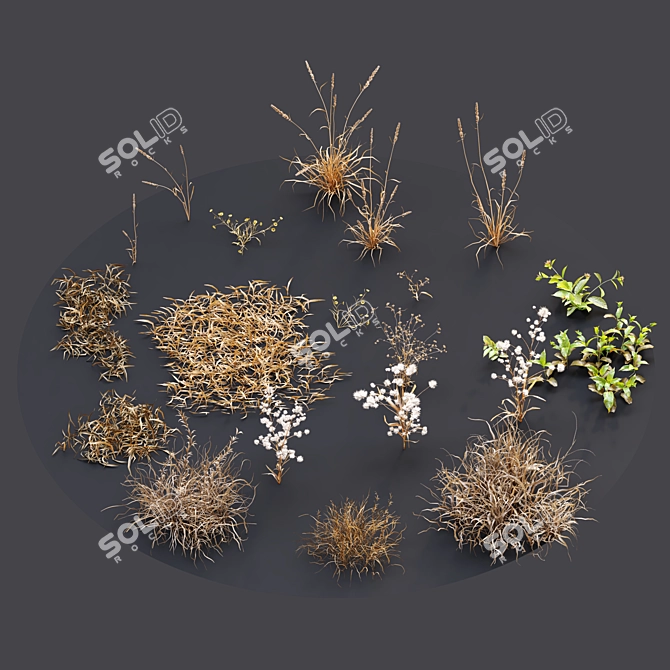 Meadow Breeze 3D model image 4