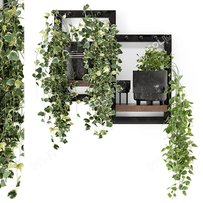 Rustic Indoor Plants - Set 150 3D model image 2
