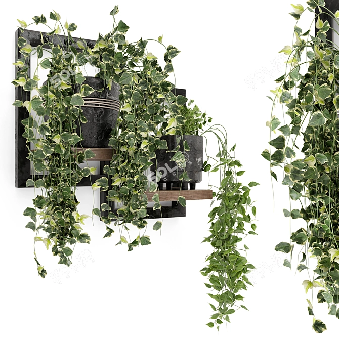 Rustic Indoor Plants - Set 150 3D model image 3