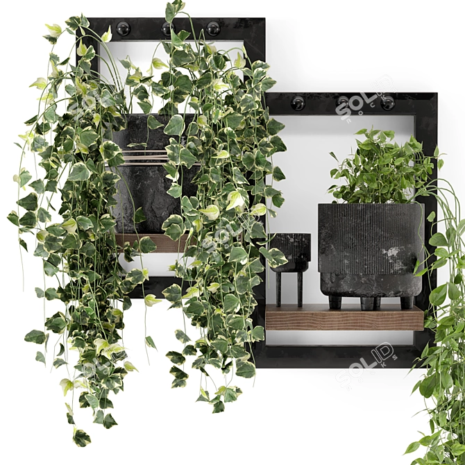 Rustic Indoor Plants - Set 150 3D model image 4