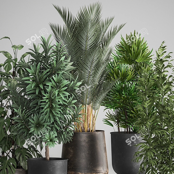 Title: Exotic Indoor and Outdoor Plant Collection 3D model image 4