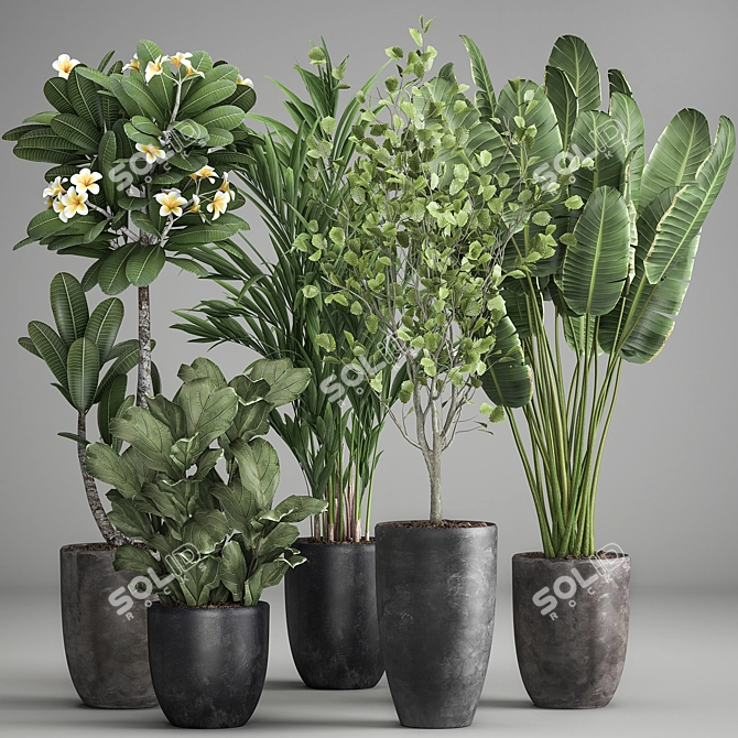Exotic Plant Collection: Decorative Plants for Indoor and Outdoor with Concrete Vase 3D model image 1