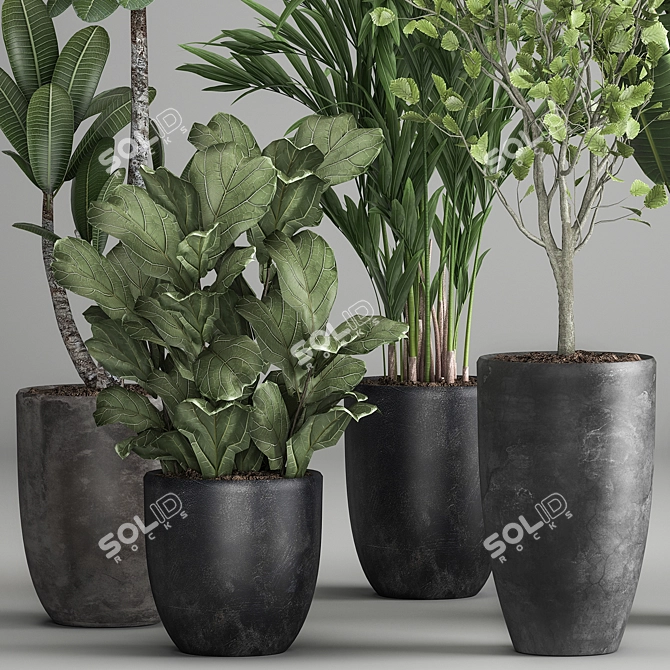 Exotic Plant Collection: Decorative Plants for Indoor and Outdoor with Concrete Vase 3D model image 2