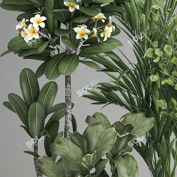 Exotic Plant Collection: Decorative Plants for Indoor and Outdoor with Concrete Vase 3D model image 4