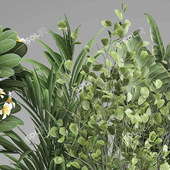 Exotic Plant Collection: Decorative Plants for Indoor and Outdoor with Concrete Vase 3D model image 6