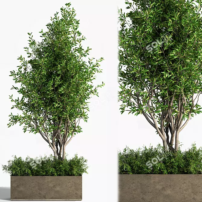 Concrete Box Outdoor Plant: Stunning and Low-Maintenance 3D model image 1