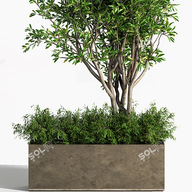 Concrete Box Outdoor Plant: Stunning and Low-Maintenance 3D model image 3