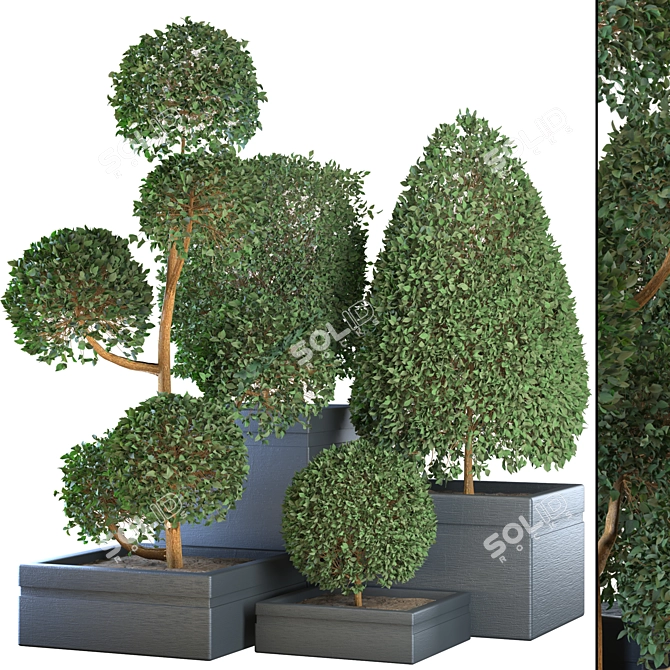 Stunning Indoor Plant Collection 3D model image 1