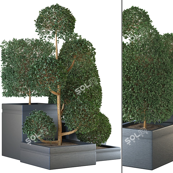 Stunning Indoor Plant Collection 3D model image 2