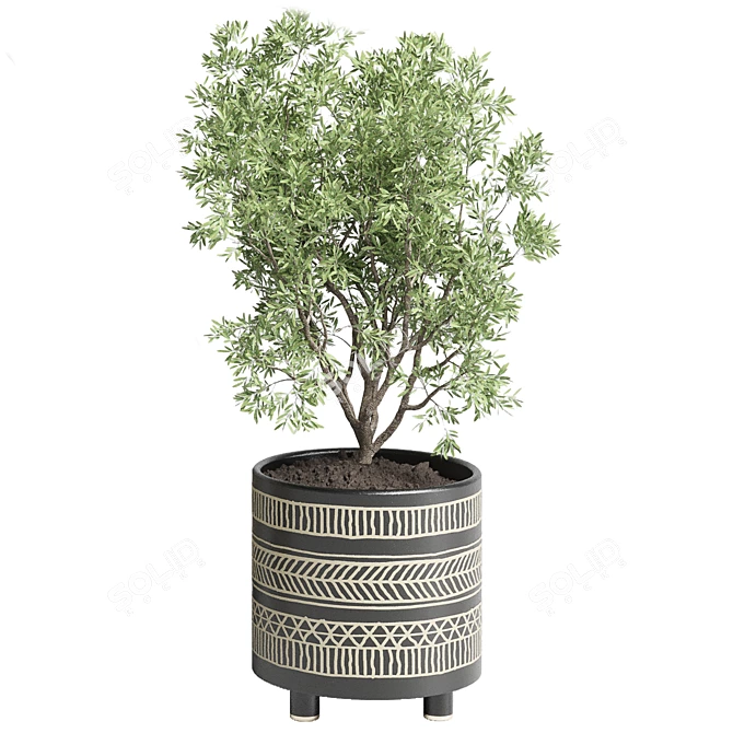 Handmade Pottery Indoor Plant Vase 3D model image 4