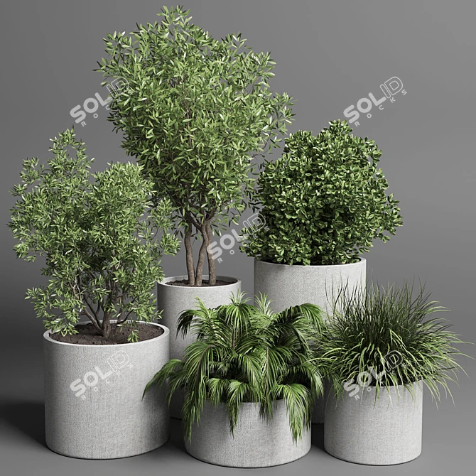 34 Pot Grass & Tree Outdoor Plant Collection 3D model image 1