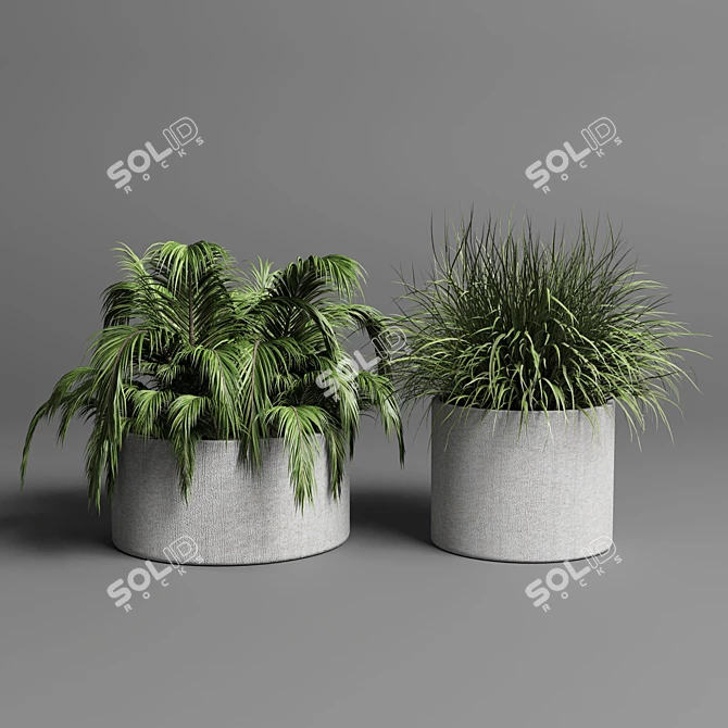 34 Pot Grass & Tree Outdoor Plant Collection 3D model image 3