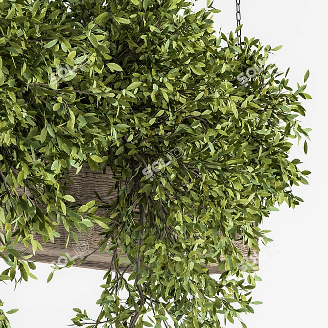 Green Oasis: 228 Hanging Plants Kit 3D model image 2