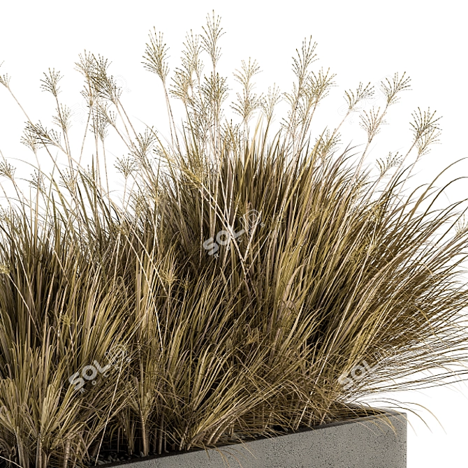  Lush Outdoor Plant Set 3D model image 3