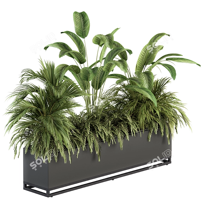 Tropical Paradise: Indoor Plant Set 3D model image 1