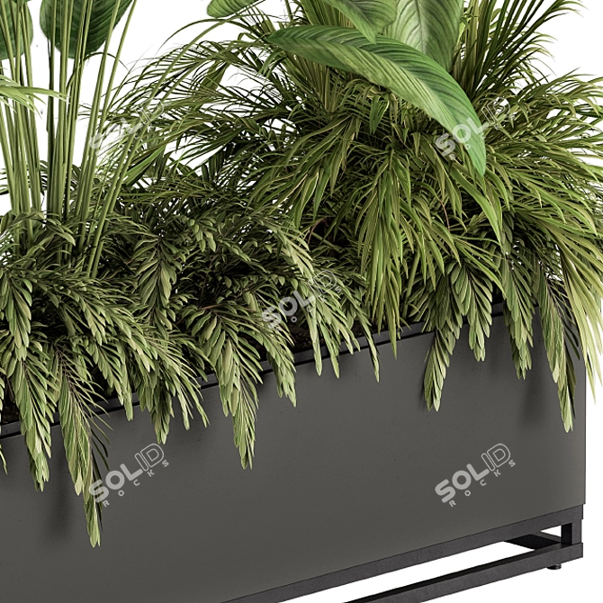 Tropical Paradise: Indoor Plant Set 3D model image 4