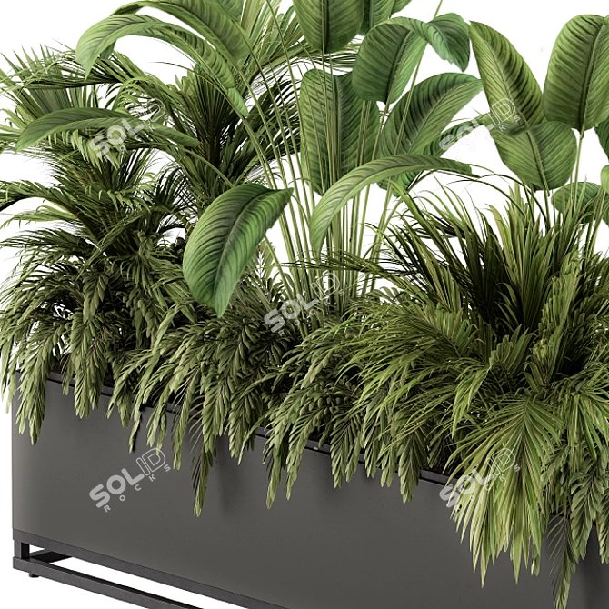 Tropical Paradise: Indoor Plant Set 3D model image 5