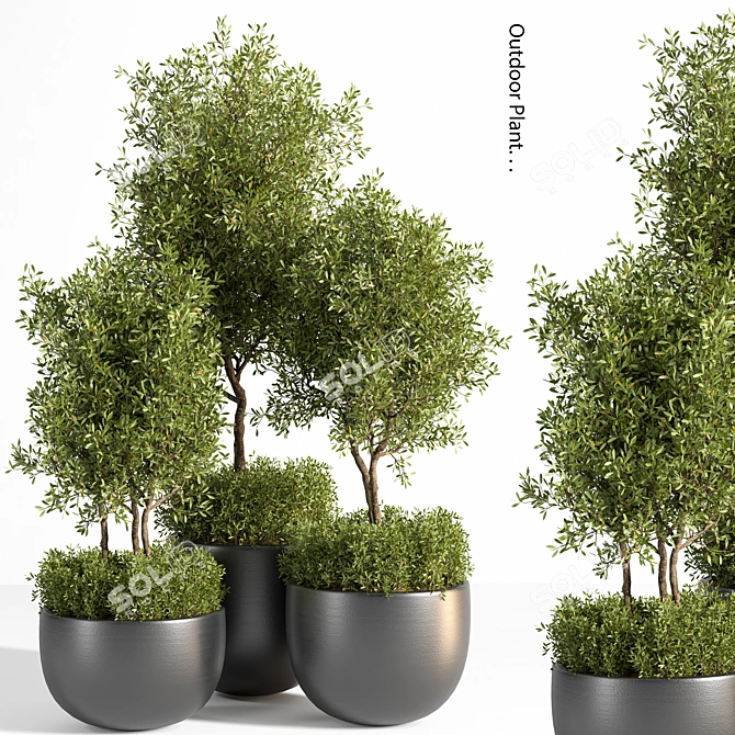 Outdoor Oasis Plant Set 3D model image 1