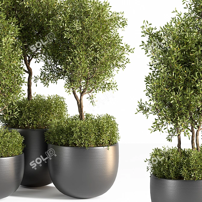 Outdoor Oasis Plant Set 3D model image 3