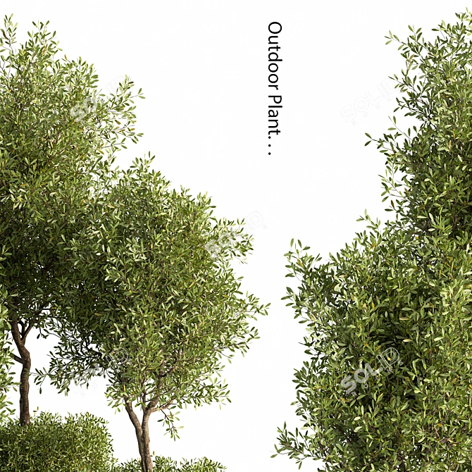 Outdoor Oasis Plant Set 3D model image 5