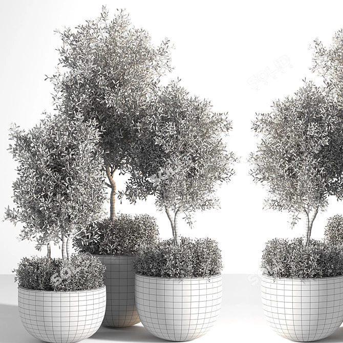 Outdoor Oasis Plant Set 3D model image 6