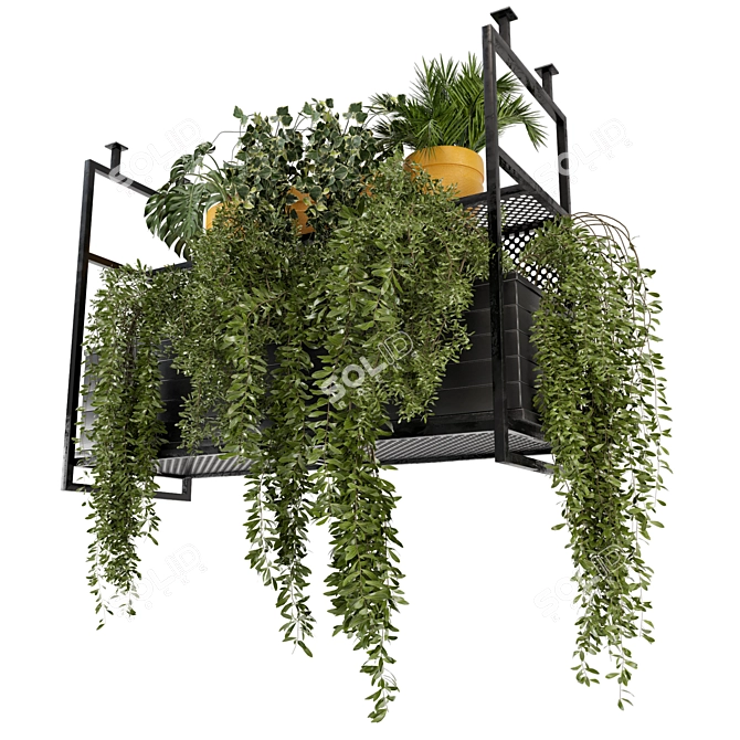 Metal Box Hanging Plants - Set 152 3D model image 2