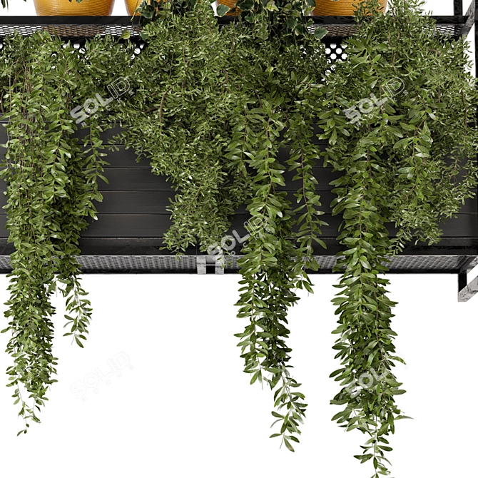 Metal Box Hanging Plants - Set 152 3D model image 6