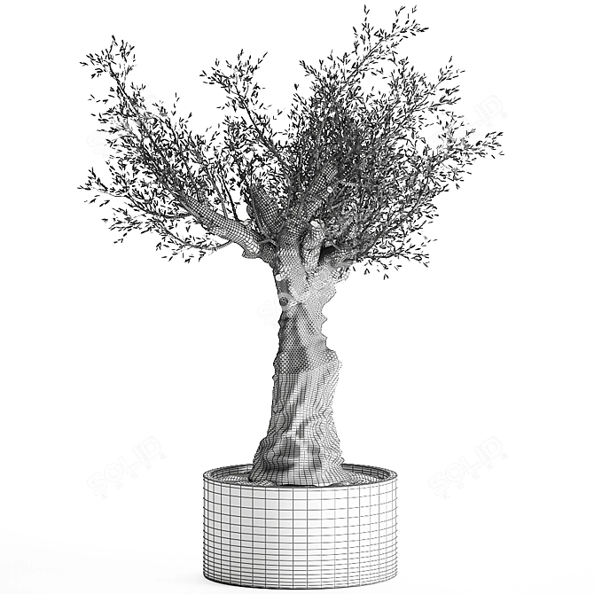 Exotic Plant Collection in Black Vase 3D model image 7