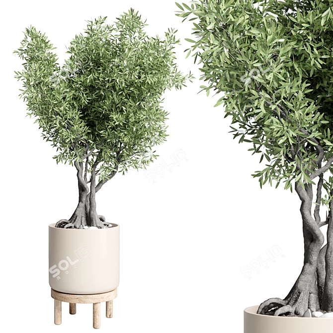 Vintage Wood Pot Indoor Plant 3D model image 1