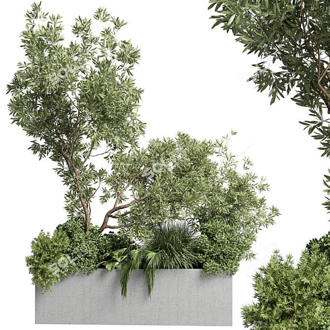 Outdoor Plant Collection: 36 Pot Bush Grass, Tree & Palm in Concrete Vases 3D model image 1