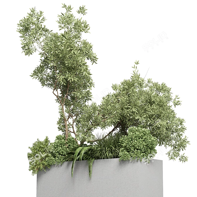 Outdoor Plant Collection: 36 Pot Bush Grass, Tree & Palm in Concrete Vases 3D model image 2