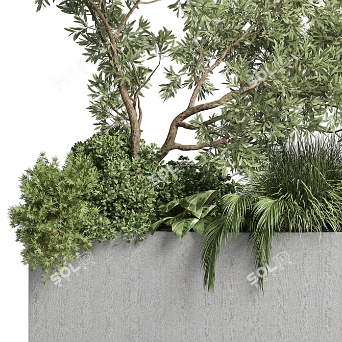 Outdoor Plant Collection: 36 Pot Bush Grass, Tree & Palm in Concrete Vases 3D model image 3