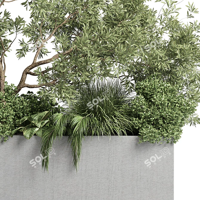 Outdoor Plant Collection: 36 Pot Bush Grass, Tree & Palm in Concrete Vases 3D model image 4