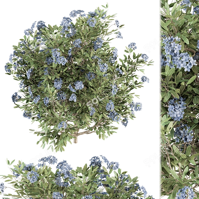 Blue Blossom Set - Set of 31 Bushes 3D model image 1