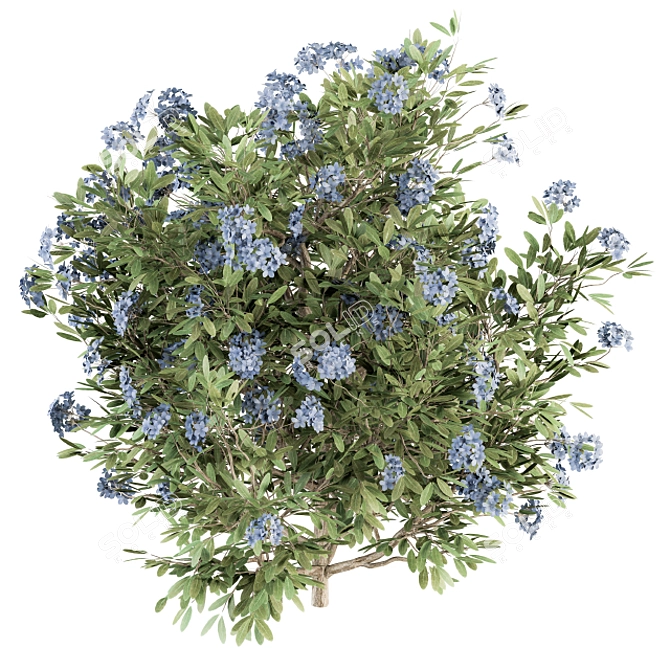 Blue Blossom Set - Set of 31 Bushes 3D model image 2