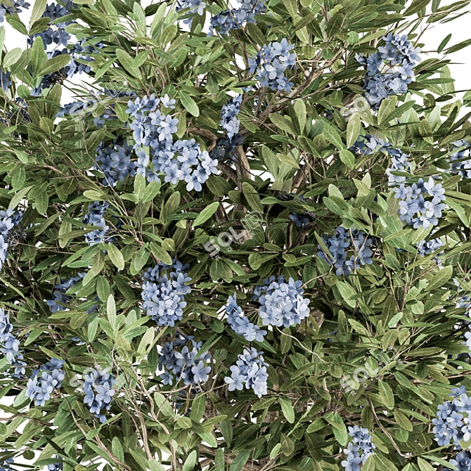 Blue Blossom Set - Set of 31 Bushes 3D model image 3