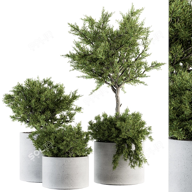 Growth Oasis: Indoor Plant Set 3D model image 4